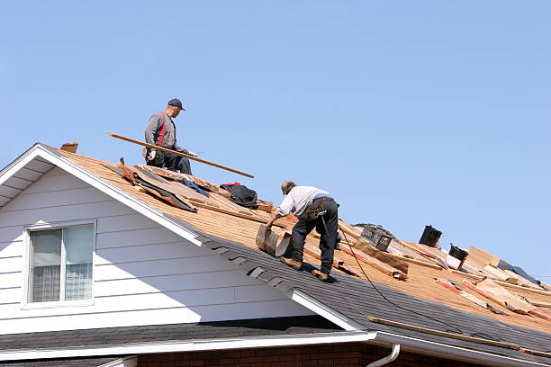 Best Rubber Roofing (EPDM, TPO)  in Prospect Heights, IL